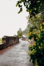 Stone road in vineyards in France in September scenic view. A little foggy