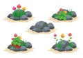 Stone / rock with flower vector collection Royalty Free Stock Photo