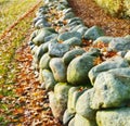 Stone, rock and leaf on earth with grass for autumn, nature and countryside outside in environment. Turf, ground and Royalty Free Stock Photo