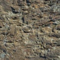 Stone/Rock Surface Texture Royalty Free Stock Photo