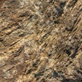 Stone/Rock Surface Texture