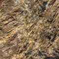 Stone/Rock Surface Texture Royalty Free Stock Photo
