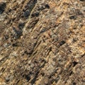 Stone/Rock Surface Texture