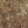 Stone/Rock Surface Texture