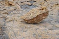 A Rock Or Large Stone For Use As A Background