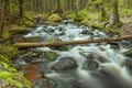 Stone roll on fast forest river Royalty Free Stock Photo