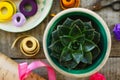 Stone rose cactus and wrappings on wooden table Royalty Free Stock Photo