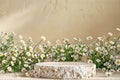 Stone round podium for beauty products. Pedestal with daisies on the background. Beige wall and nature vibe Royalty Free Stock Photo