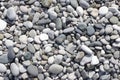 Stone round sea multi-colored. Sea pebbles texture, top closeup