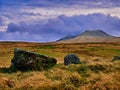 Bronze Age Stone Row at Nant Tarw Wales