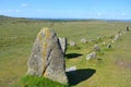 Prehistoric stone row,Dartmoor National Park, Devon, UK Royalty Free Stock Photo