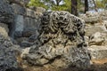 Stone ruins of houses and the street of the ancient city of Phaselis. Royalty Free Stock Photo