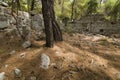 Stone ruins of houses and the street of the ancient city of Phaselis.