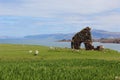 Stone ruins in Iona Scotland