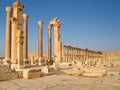 Stone ruins, Palmyra, Syria