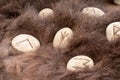 Stone runes on a animal fur. Futhark viking alphabet. Close up photo of Norse runes Royalty Free Stock Photo