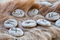 Stone runes on a animal fur. Futhark viking alphabet. Close up photo of Norse runes Royalty Free Stock Photo