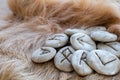 Stone runes on a animal fur. Futhark viking alphabet. Close up photo of Norse runes Royalty Free Stock Photo