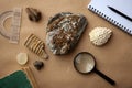 Stone samples at geological laboratory. Geology rock laboratory. Laboratory for analysis of geological soil materials, stones,