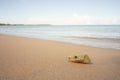 Stone on the sand baech Royalty Free Stock Photo