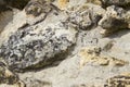 Stone and sand, beige and black, shot close-up