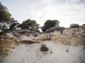 Stone and Sand Foreground with Olive and Pine Trees in Sa Rapita