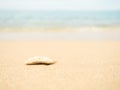 Stone on Sand with Wave Water Blue Sea at Coast on Beach Background Royalty Free Stock Photo