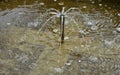 Stone sandstone round fountain in the park. built of sandstone filled with water. lined with a light threshing gravel path with th