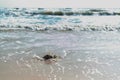 A stone sank in the sand at a beach. Which has waves washed ashore all the time during the monsoon Royalty Free Stock Photo