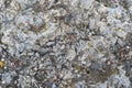 Stone in scandinavian woods. Texture of stone. Background photo with space for text. Swedish, Scandinavian