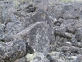 Kurumnik or rock scree on a mountain slope on the Bank of the Belin river in Eastern Sayan