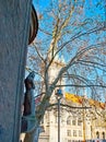 The stone sculpture in front of Rathaus Town Hall of Braunschweig, Germany