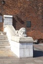 Stone sculpture of a lion, Town Hall Tower, Krakow, Poland Royalty Free Stock Photo