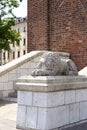 Stone sculpture of a lion, Town Hall Tower, Krakow, Poland Royalty Free Stock Photo