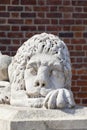 Stone sculpture of a lion, Town Hall Tower, Krakow, Poland Royalty Free Stock Photo