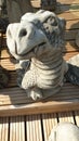 Stone Ornamental Dragon