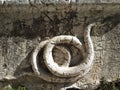 Stone sculptured statue of a snake on grunge stone wall Royalty Free Stock Photo