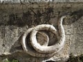 Stone sculptured statue of a snake on grunge stone wall