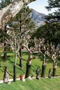 Stone sculptures among plane trees in the park of Villa Balbianello. Lake Como, Italy