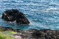 A stone, sea waves. Seaside landscape. Coastal cliffs of the Atlantic, rock formation beside body of water