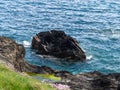 A stone, sea waves in spring. Seaside landscape. Coastal cliffs of the Atlantic, rock formation beside body of water