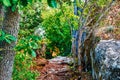 Stone shady pathways in garden. Stones path through landscape with bordered by rock. Beautiful seasonal summer tropical woodland.