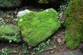 Stone in the shape of the heart covered with green moss and lichen in tropical forest, environment conservation concept