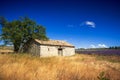 Stone shelter in typical lavender field in provence Royalty Free Stock Photo