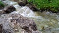 Stone on the shore of a mountain stream.