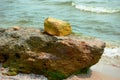 Stone on the shore, wild beach by the sea, beautiful wild landscape