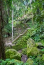 Stone slab stairs up a small hill under green tree Royalty Free Stock Photo