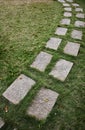 Stone slabs pathway