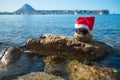 Stone with a smile and in a Santa red hat is laying on a big rock. Royalty Free Stock Photo