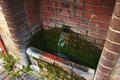 A Stone source of clear transparent water on the street. Cold water flows into a container overgrown with green moss, and splashes